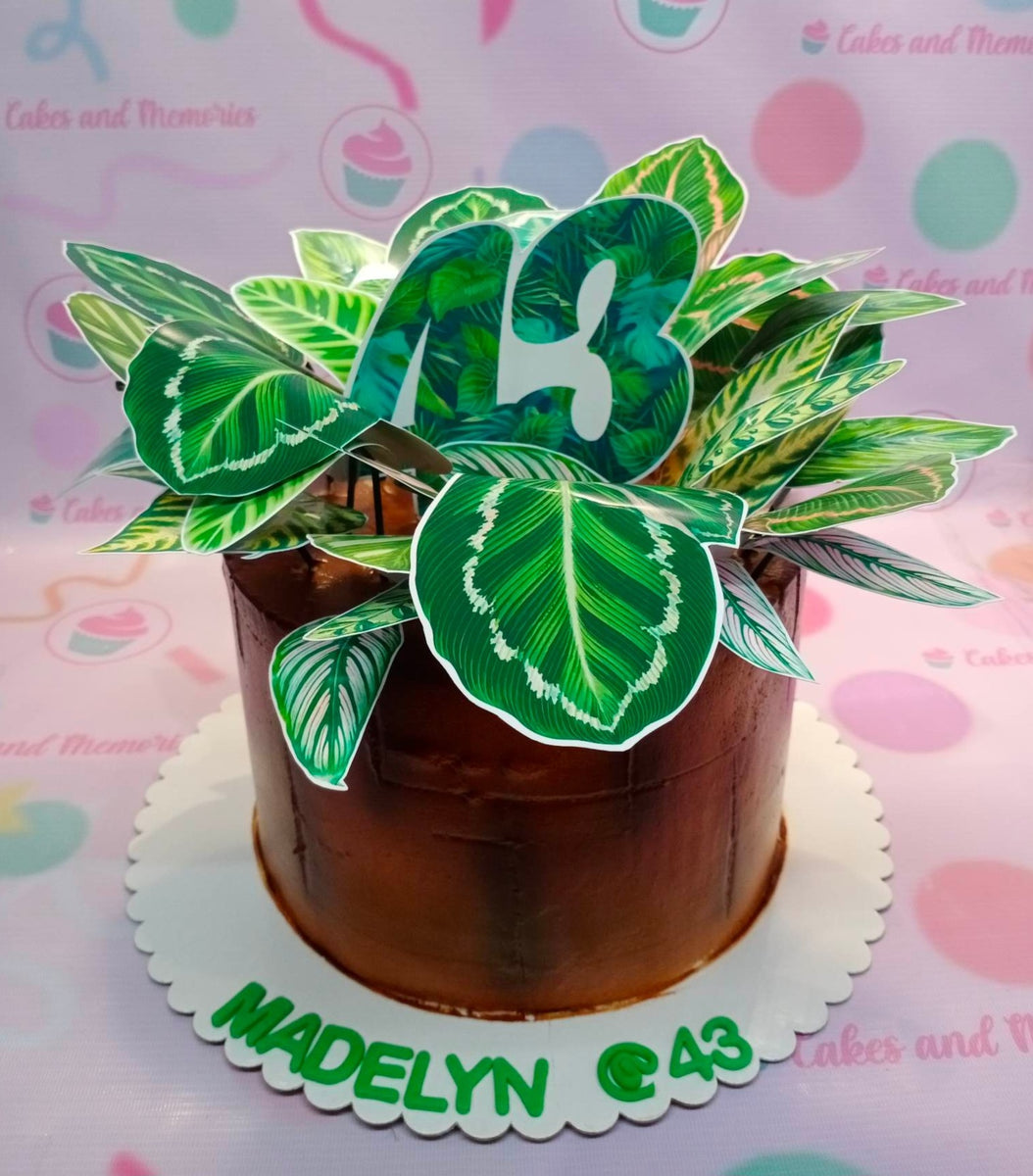 snake plant cake Garden Cake
