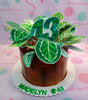 This beautiful Garden Cake is decorated with green and brown leaves, flowers, cactus and plantitas. The money cake comes with pull-out feature and print outs to make it even more special. Perfect for birthday celebrations, this customized cake is sure to make any occasion memorable.