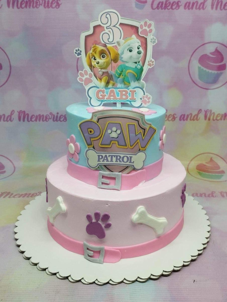 Paw Patrol Cake - 2209 – Cakes and Memories Bakeshop