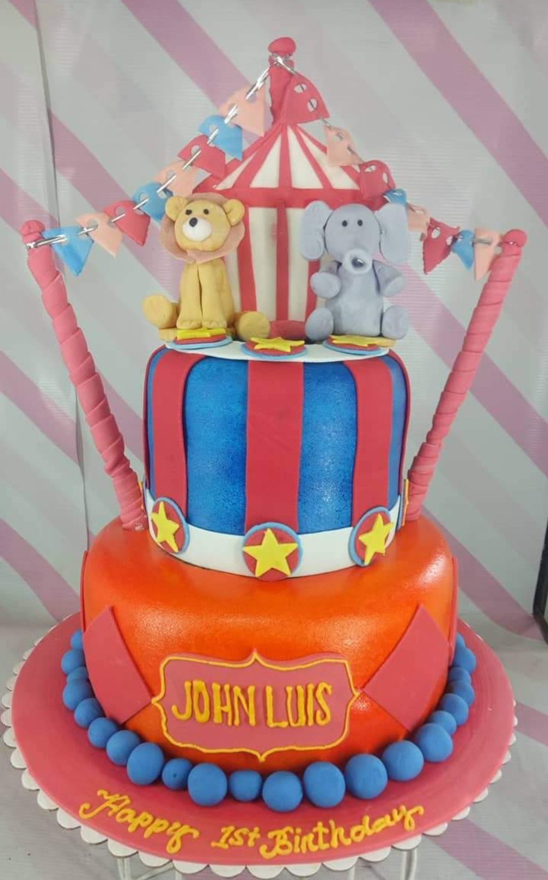 Circus Cake Smash First Birthday - CT Cake Smash Photographer