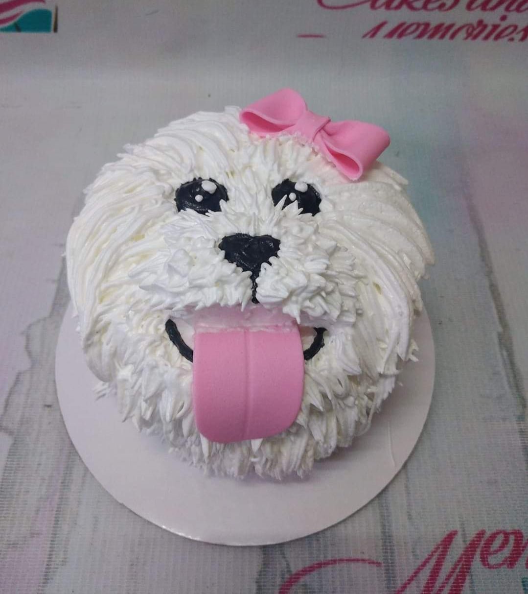 Dog Cake - 1111 – Cakes and Memories Bakeshop